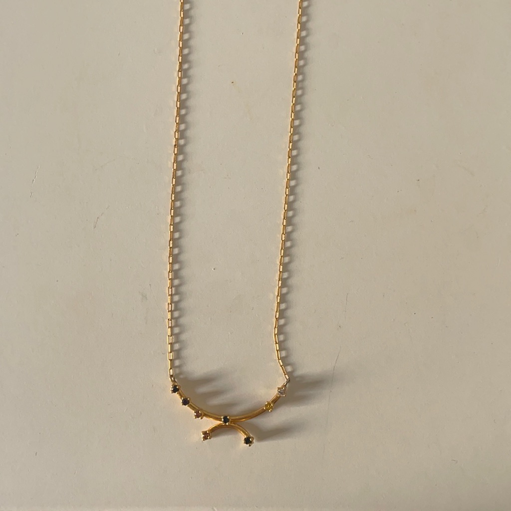 Madewell Never Worn Gold Necklace 20$